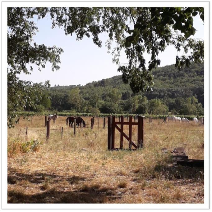 Charming Small House Close To Uzes Foissac  Esterno foto